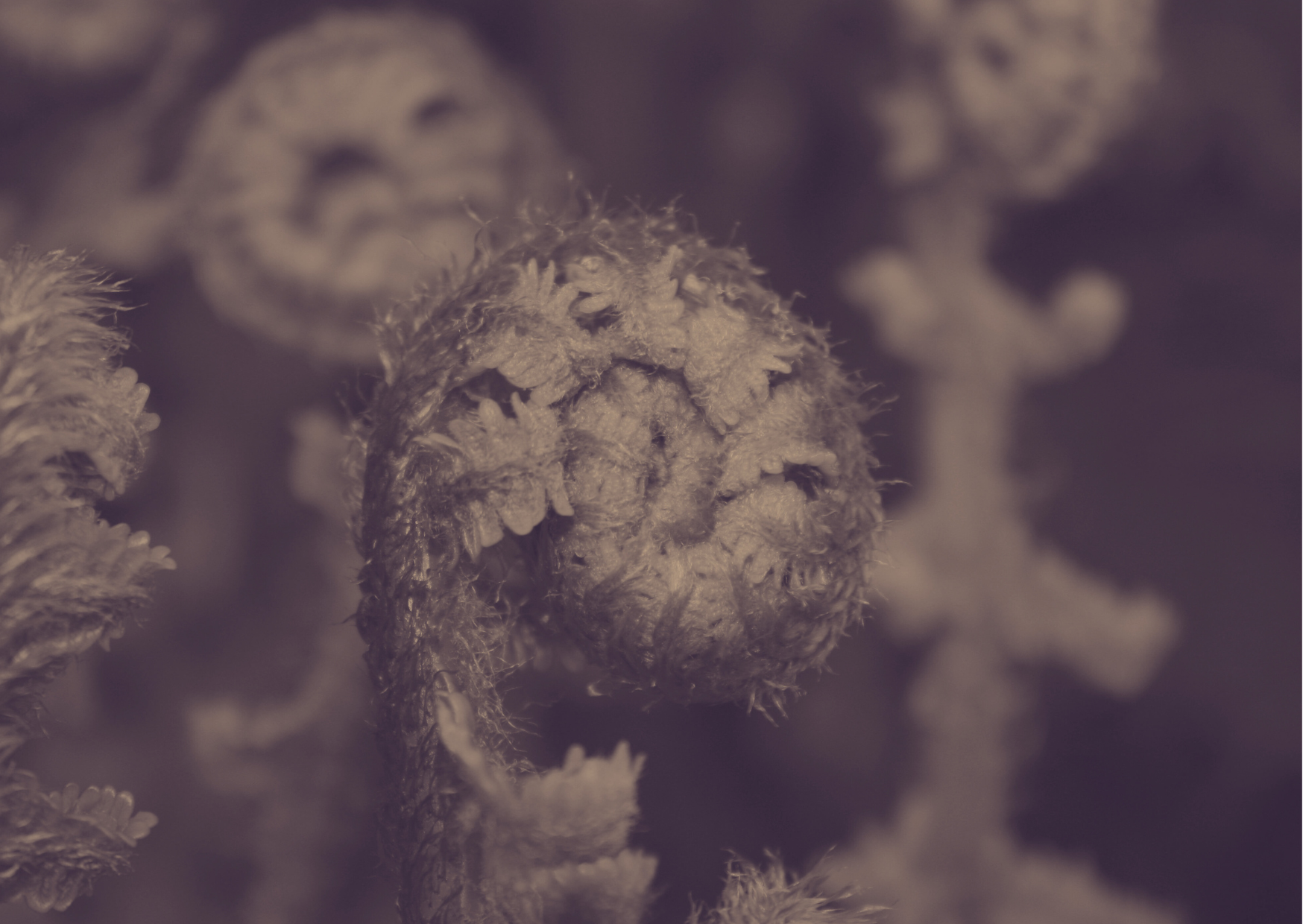 les groupes d'entraide 4